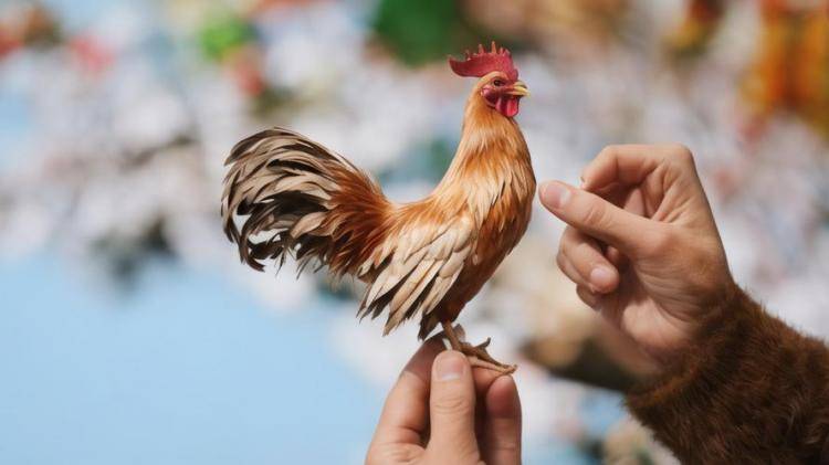 手工羽毛扇網(wǎng)站如何憑借傳統(tǒng)工藝傳承擴大流量？同行都是怎么做的？
